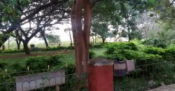 600 Sqft South Face Residential House Sale Naidu Stores, Mysore