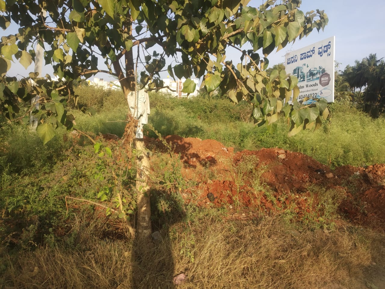 2.19 Acre South West Corner Land Sale T.narasipura Road, Mysore