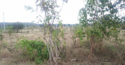 1200 Sqft East Face Residential Site Sale Bramins Layout, Mysore