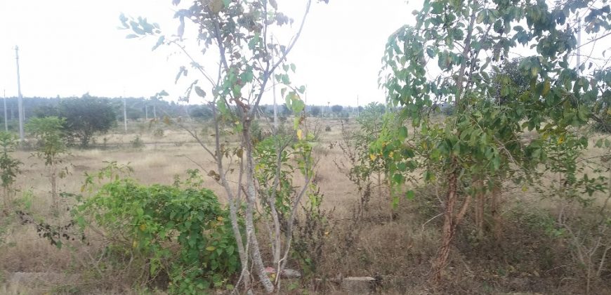 1200 Sqft East Face Residential Site Sale Bramins Layout, Mysore