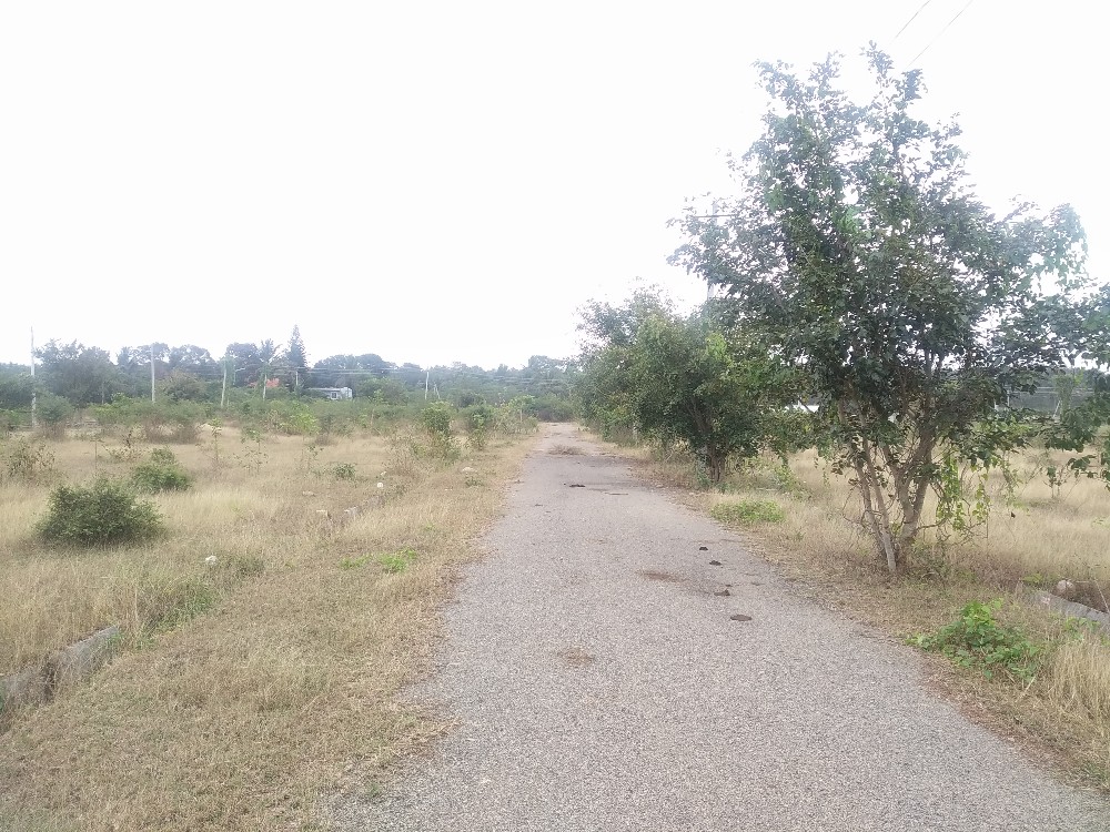 1200 Sqft East Face Residential Site Sale Bramins Layout, Mysore