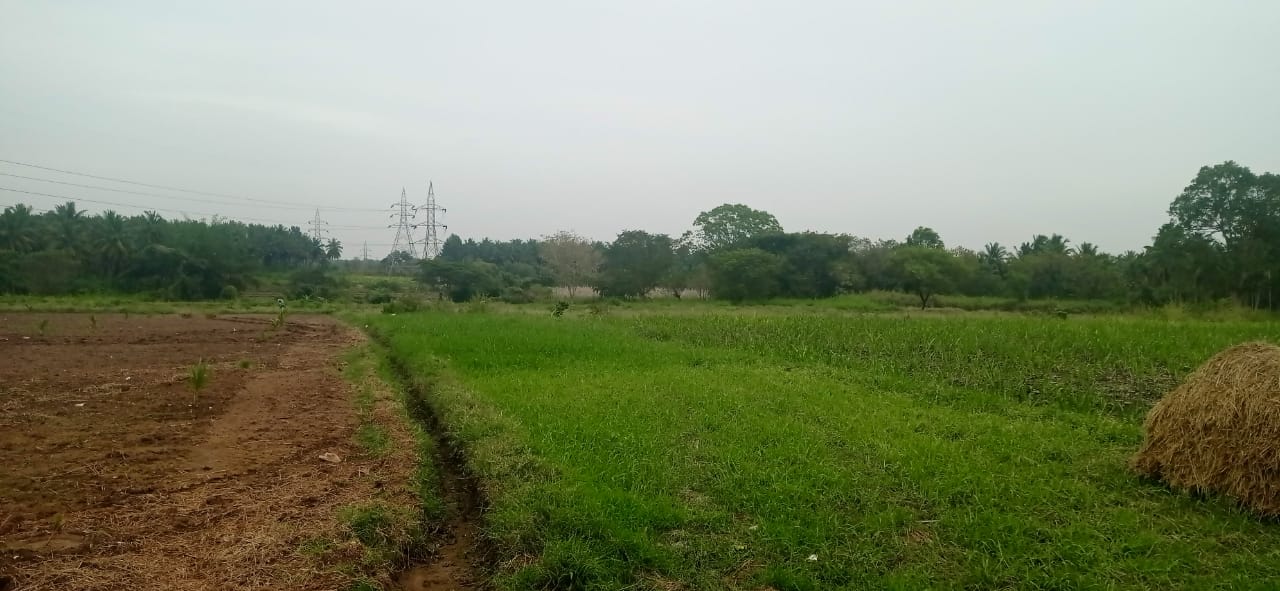 Plot Sale Dadahalli, Mysore