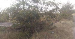 1200 Sqft North Face Residential Site Sale T Narasipura Road, Mysore