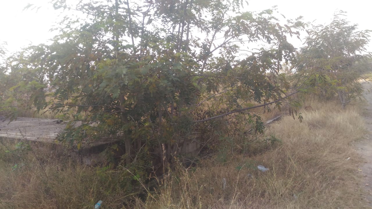 1200 Sqft North Face Residential Site Sale T Narasipura Road, Mysore