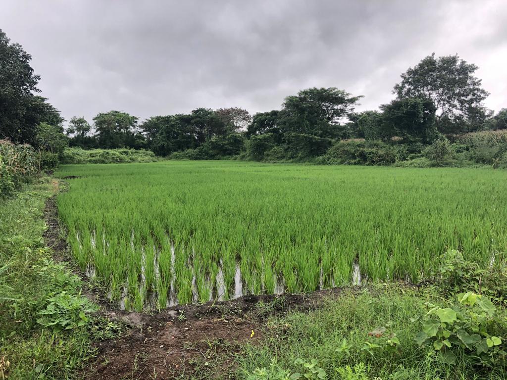 25 Acre Plot Sale Hunsur Road, Mysore