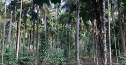 25 Acre Plot Sale Hunsur Road, Mysore