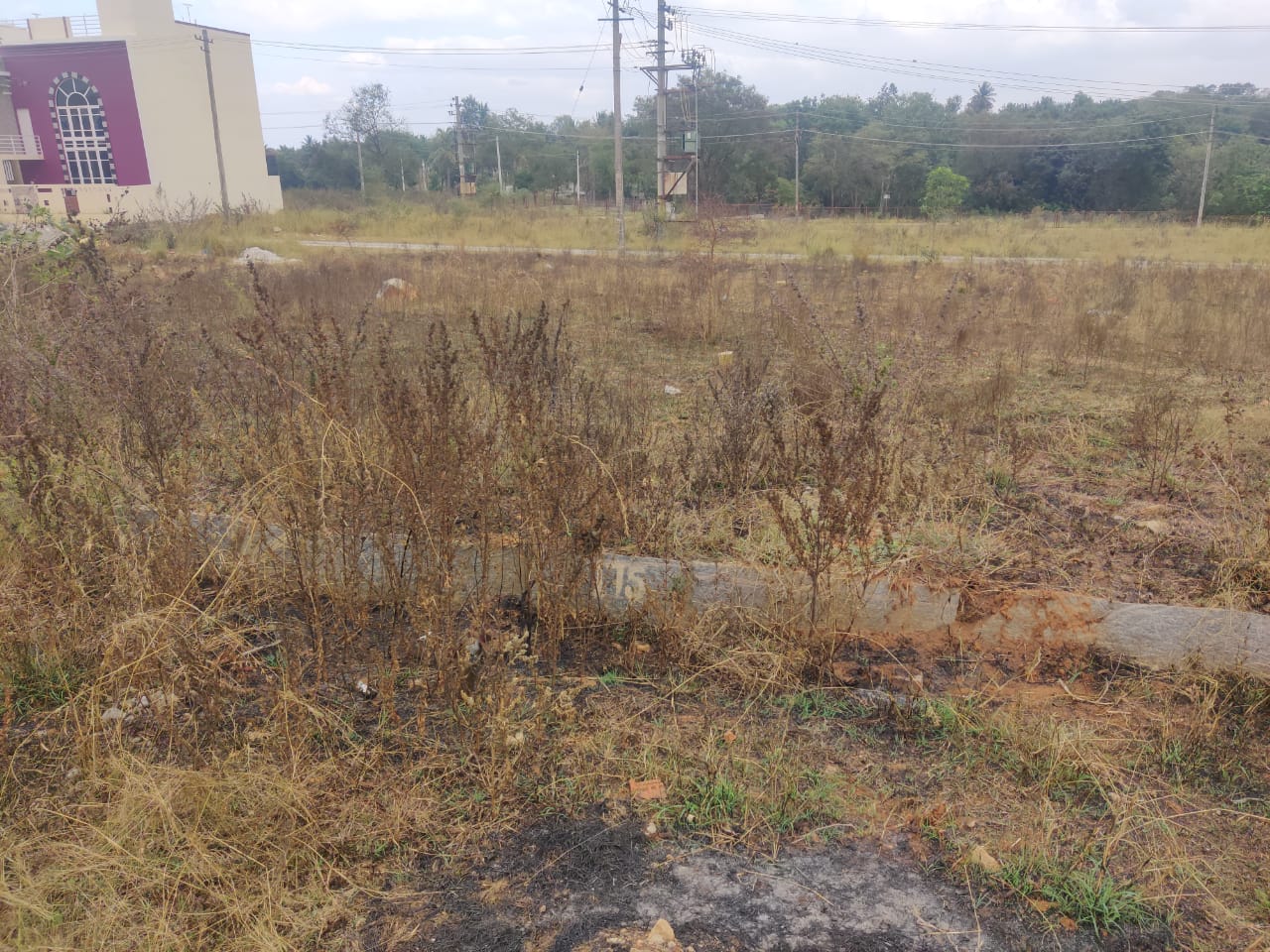 1200 Sqft West Face Residential Site Sale Vanivilasa Layout,  Mysore