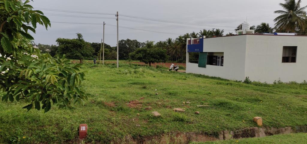 12 Acre 3 Gunta Residential Site Sale Sourish Layout, Mysore