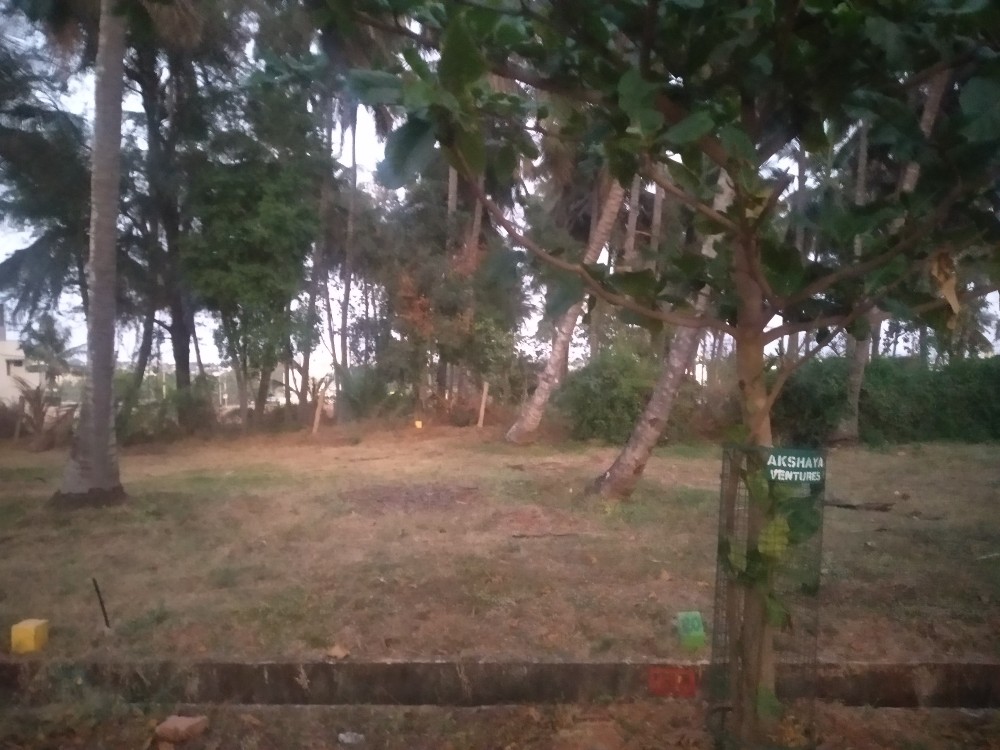 1500 Sqft West Face Residential Site Sale Akshaya Layout, Mysore