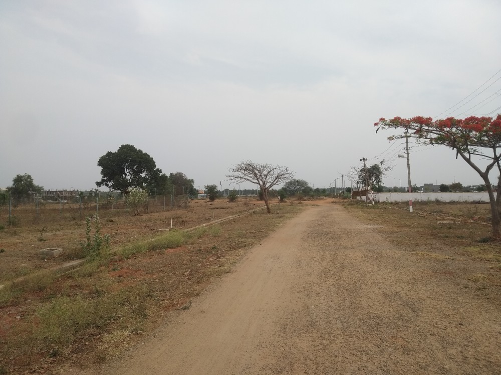 1350 Sqft West Face Residential Site Sale Srirampura, Mysore