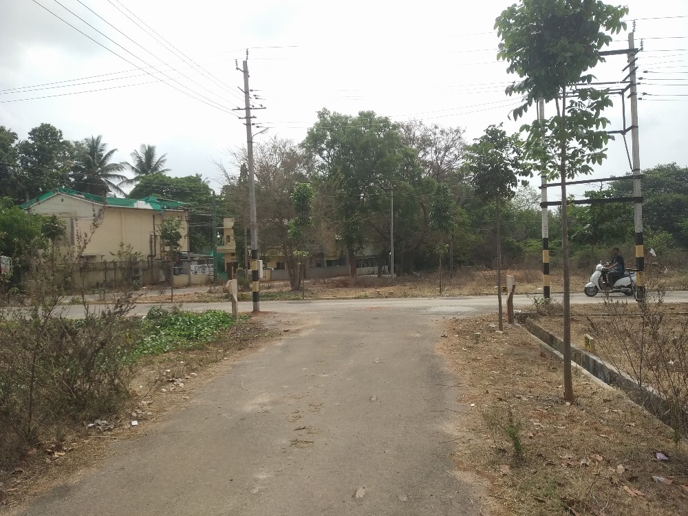 1200 Sqft North Face Residential Site Sale University Layout, Mysore