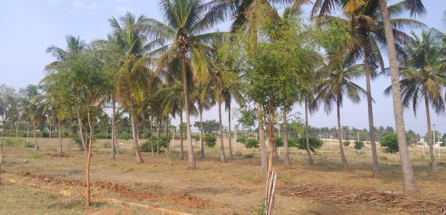 1 Acre Land Sale Suvarana Nagara, Mysore