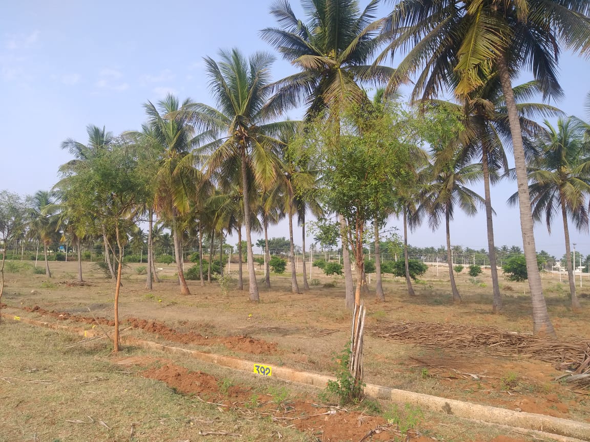1 Acre Land Sale Suvarana Nagara, Mysore