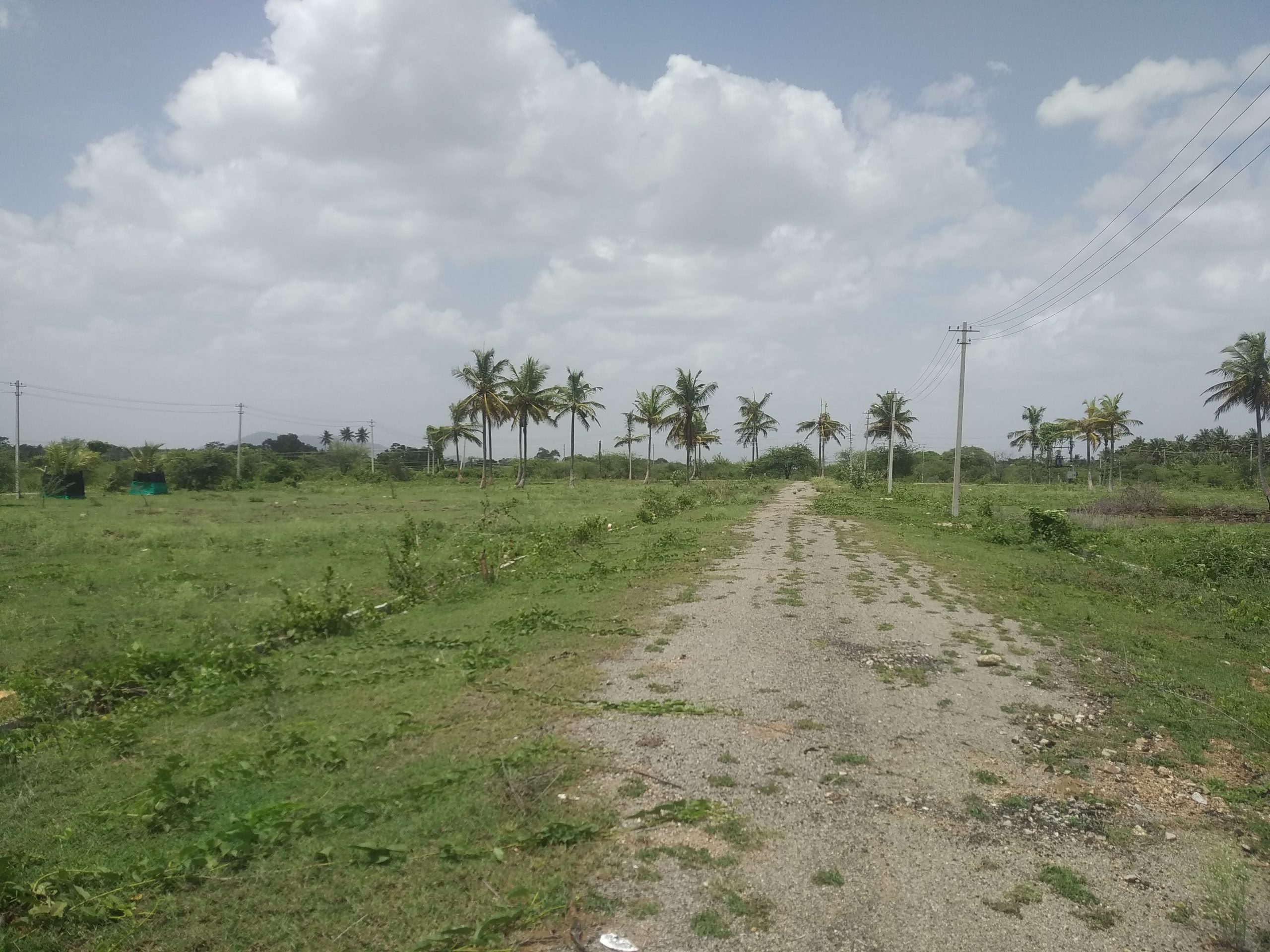 4000 Sqft West Face Residential Site Sale  Sriramapura, Mysore