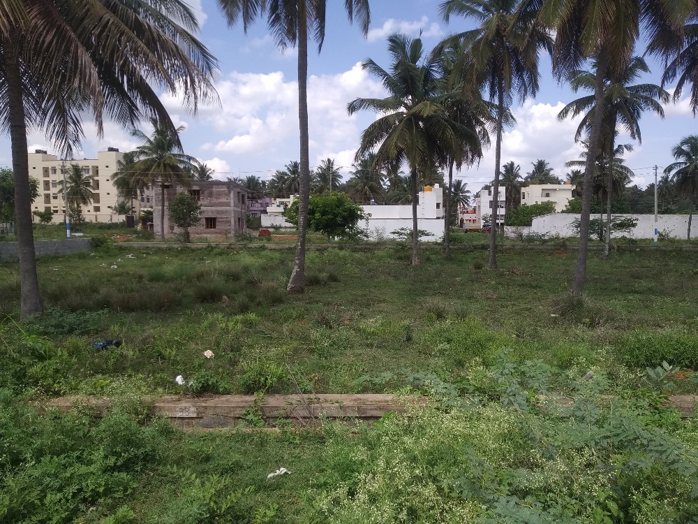 2400 Sqft East Face Commercial Site Sale  Sriramapura, Mysore