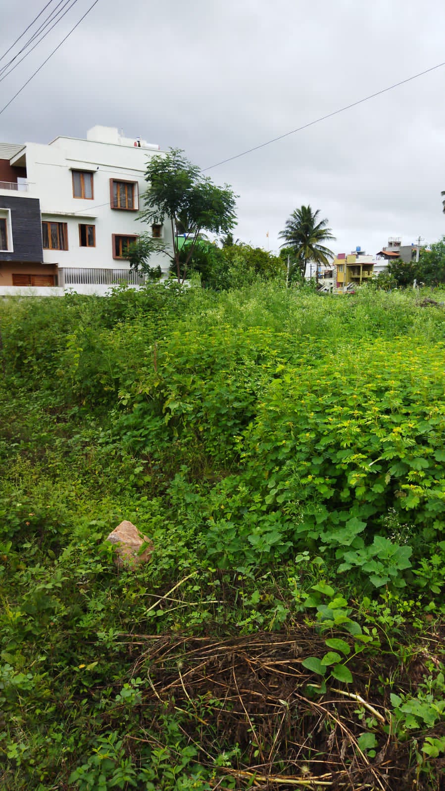 2400 Sqft Site Sale Ramakrishna Nagara, Mysore