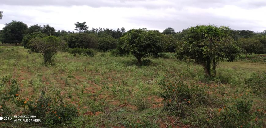 1 Acre Land Sale Bilikere, Mysore