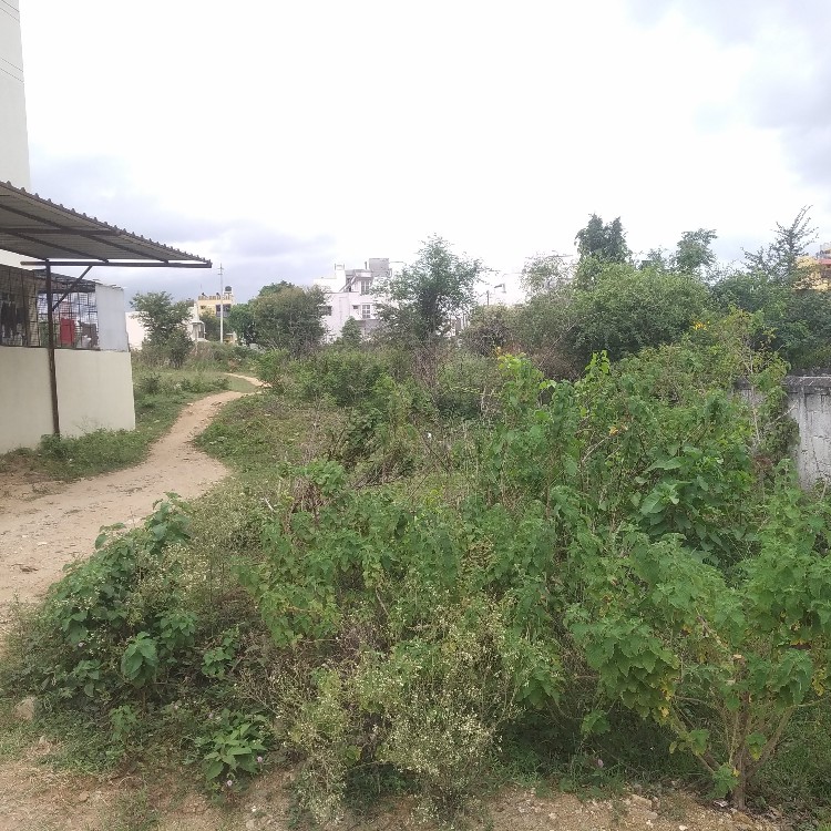 900 Sqft West Face Site Sale Judicial Layout, Dattagalli, Mysuru