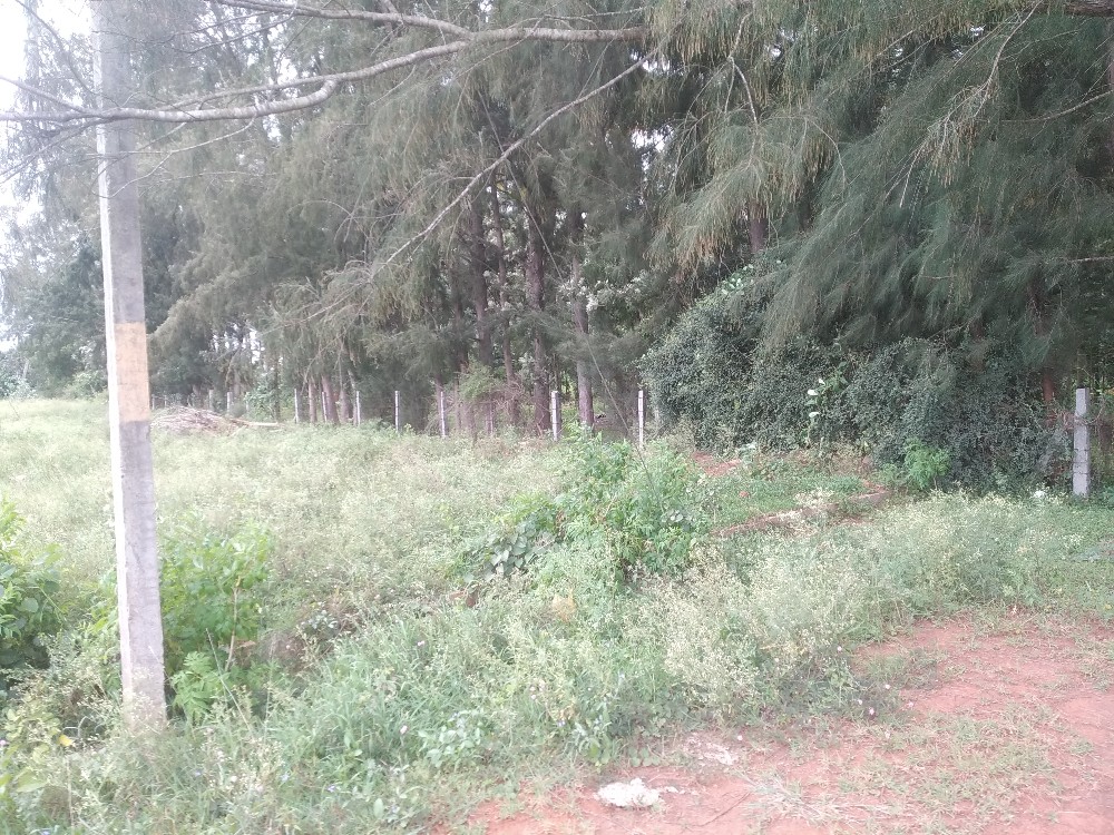 1200 Sqft North Face Residential Site Sale RT Nagar, Mysore