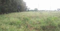 1200 Sqft North Face Residential Site Sale RT Nagar, Mysore