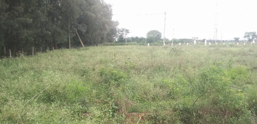 1200 Sqft North Face Residential Site Sale RT Nagar, Mysore