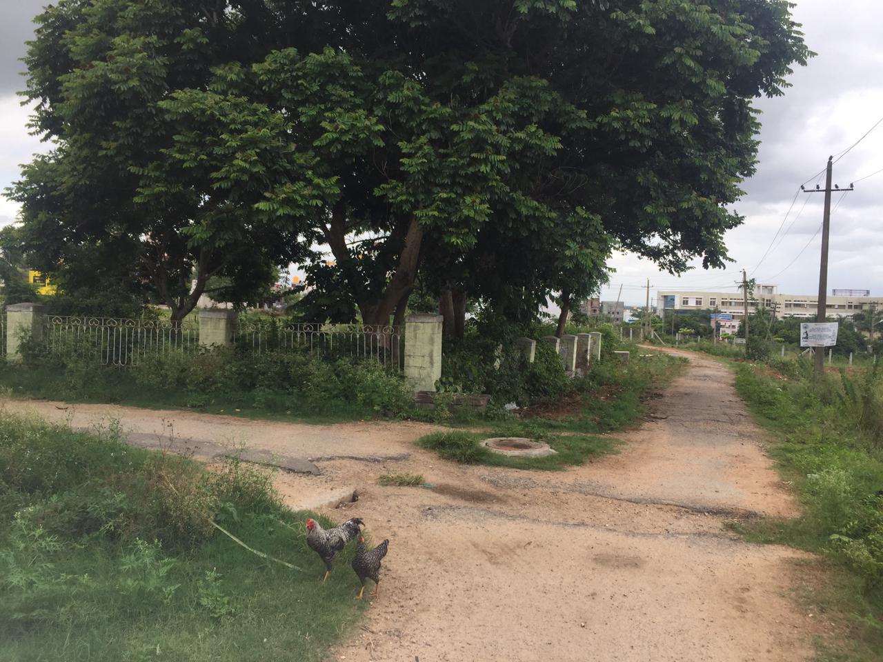 2400 Sqft  North Face Residential Site Sale Sathagalli, Mysore