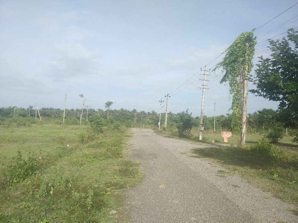 1200sqft Site Sale Bramins Layout