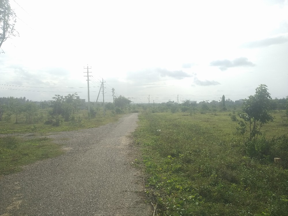 1200 Sqft Site South Face Residential Sale Bramins Layout,  Mysore