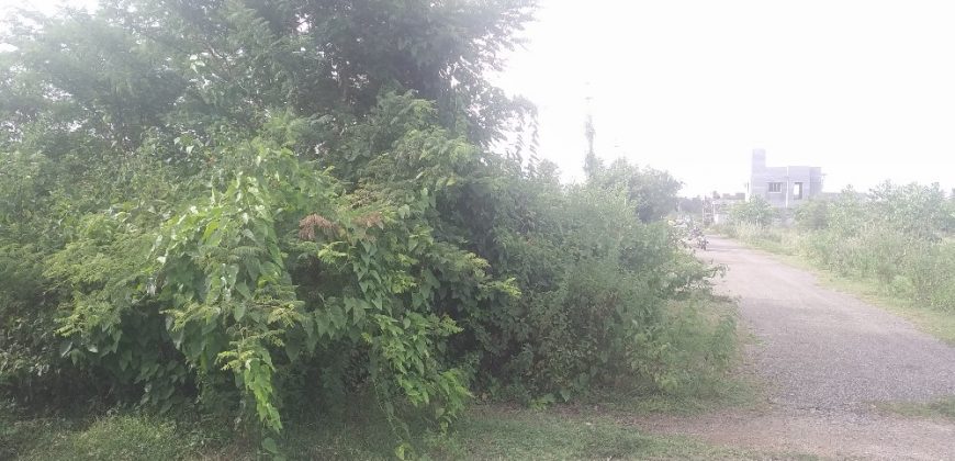 2400 Sqft South East Corner Residential Site Sale Bramins Layout,Mysore