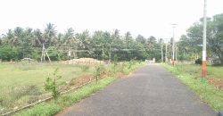 1200 Sqft Residential Site Sale Martikyatanahalli, Mysore
