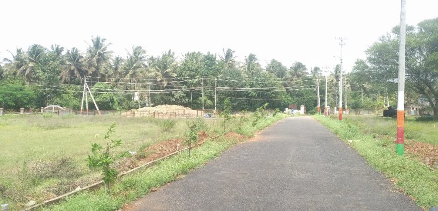 1200 Sqft Residential Site Sale Martikyatanahalli, Mysore