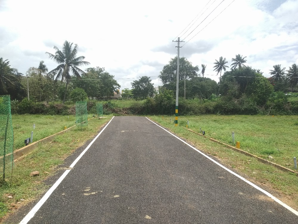 1200 Sqft South Face Residential Site Sale Bogadi, Mysore