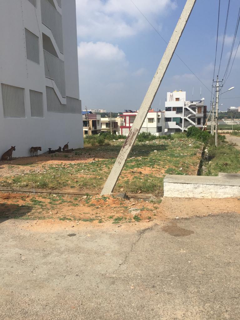 1588 Sqft East Face Residential Site Sale Hebbal, Mysore
