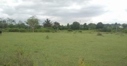 1200 East Facing Site Sale At Bramins Layout, Mysuru