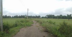 1200 East Facing Site Sale At Bramins Layout, Mysuru