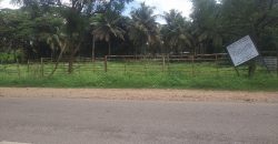 18 Gunta Land HD Kote, Mysore
