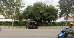 4000 Sqft South Face Commercial Site Sale Niveditha Nagar, Mysore