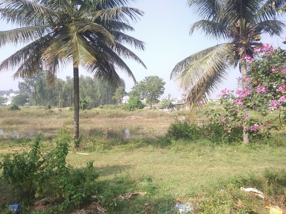 1200 Sqft East Face Residential Site Sale Vijayanagar, Mysore