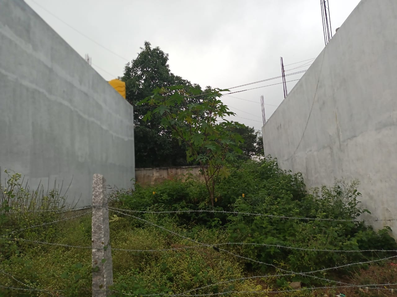 800 Sqft Residential Site Sale Gaithripuram, Mysore
