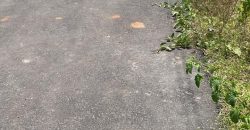 2400 Sqft West Face Residential Site Sale JP Nagar, Mysore