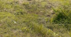 2400 Sqft North Face Residential Site Sale Vijayanagar, Mysore