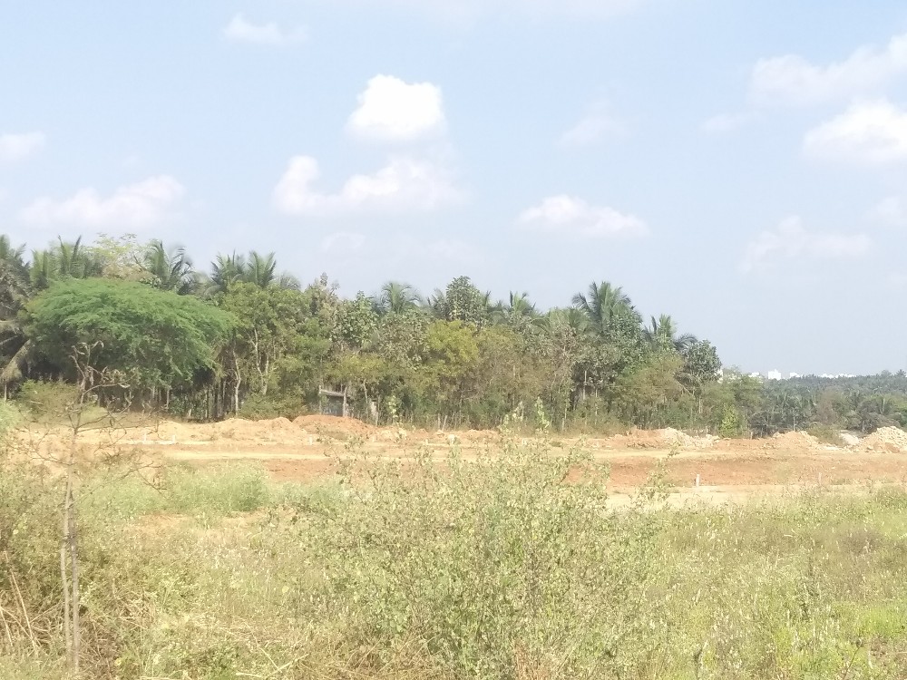 3000 Sqft North Face Residential Site Sale University Layout, Mysore