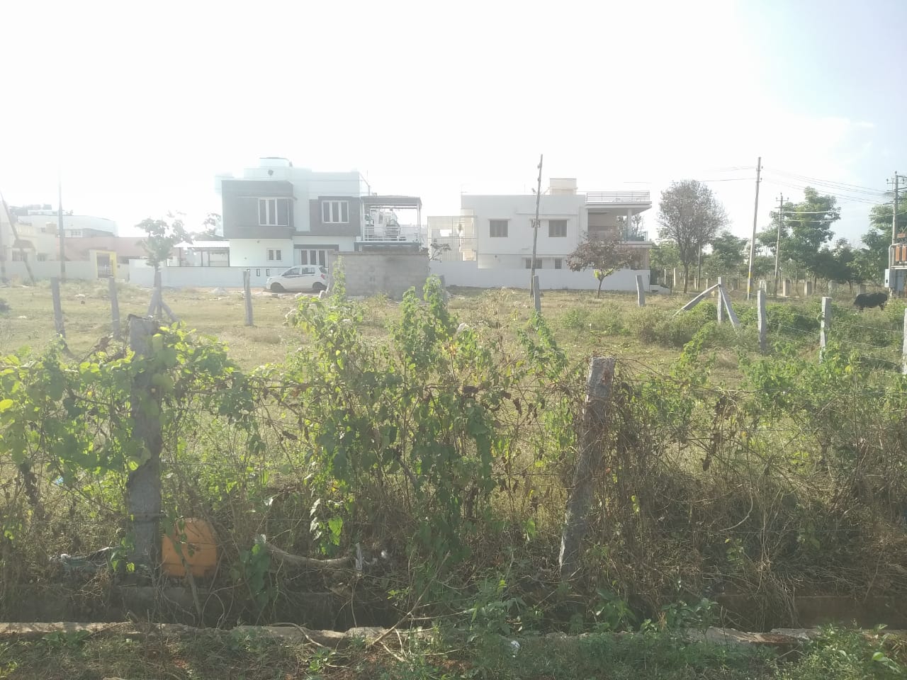 2350 Sqft East Face Residential Site Sale Dattagalli, Mysore