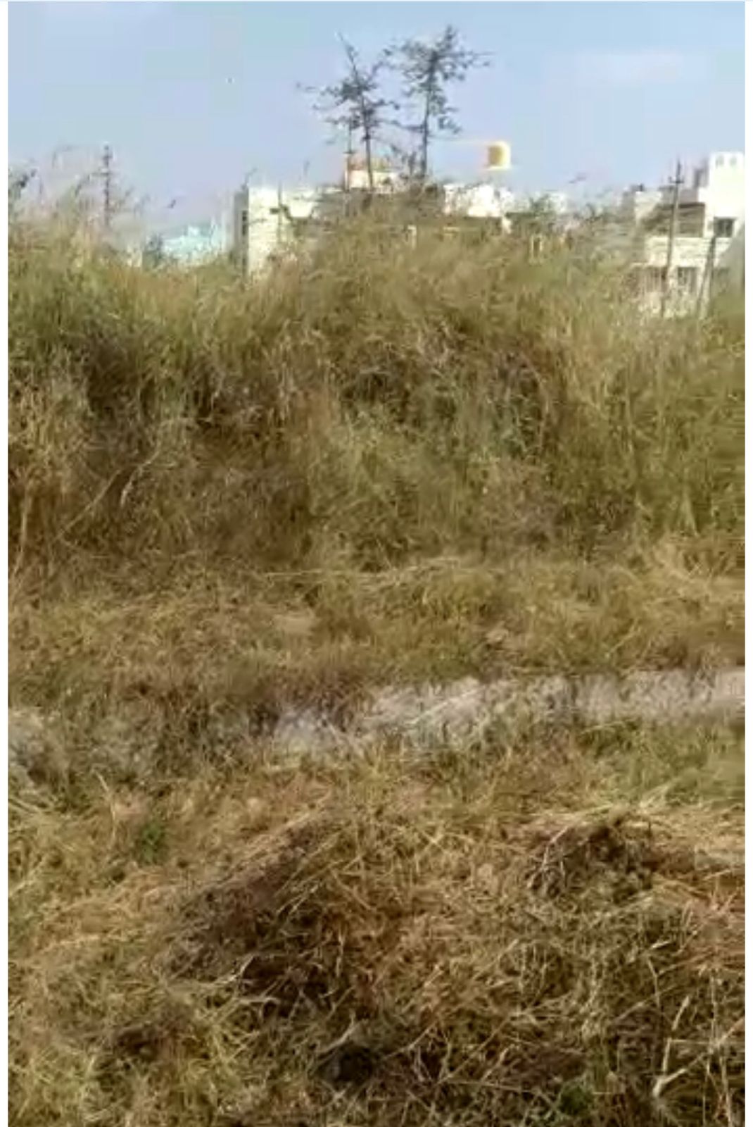 1200 Sqft West Face Residential Site Sale Vijyanagar, Mysore