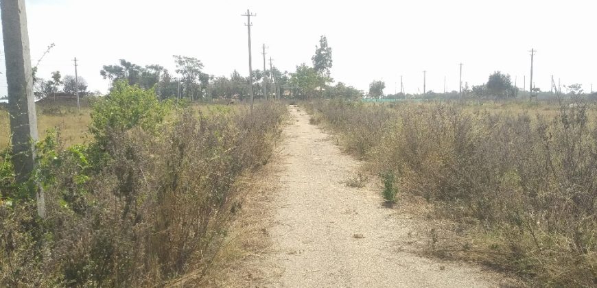 4000 Sqft West Face Residential Site Sale Bramins Layout, Mysore