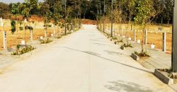 600 Sqft North Face Residential Site Sale JSS Layout, Mysore