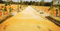 600 Sqft North Face Residential Site Sale JSS Layout, Mysore