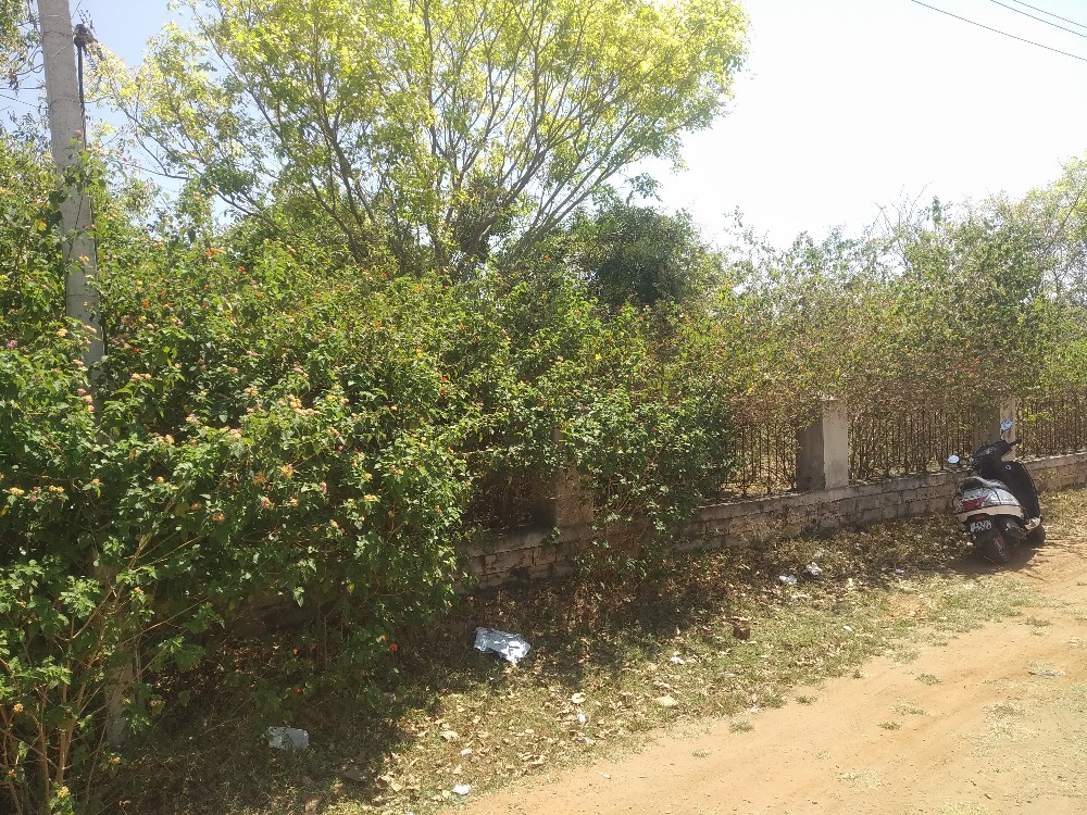 1200 Sqft East Face Residential Site Sale Dattagalli, Mysore