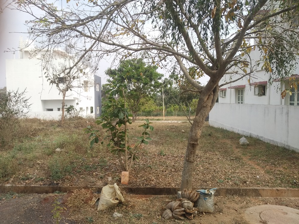 1800 Sqft South Face Residential Site Sale Bogadi, Mysore