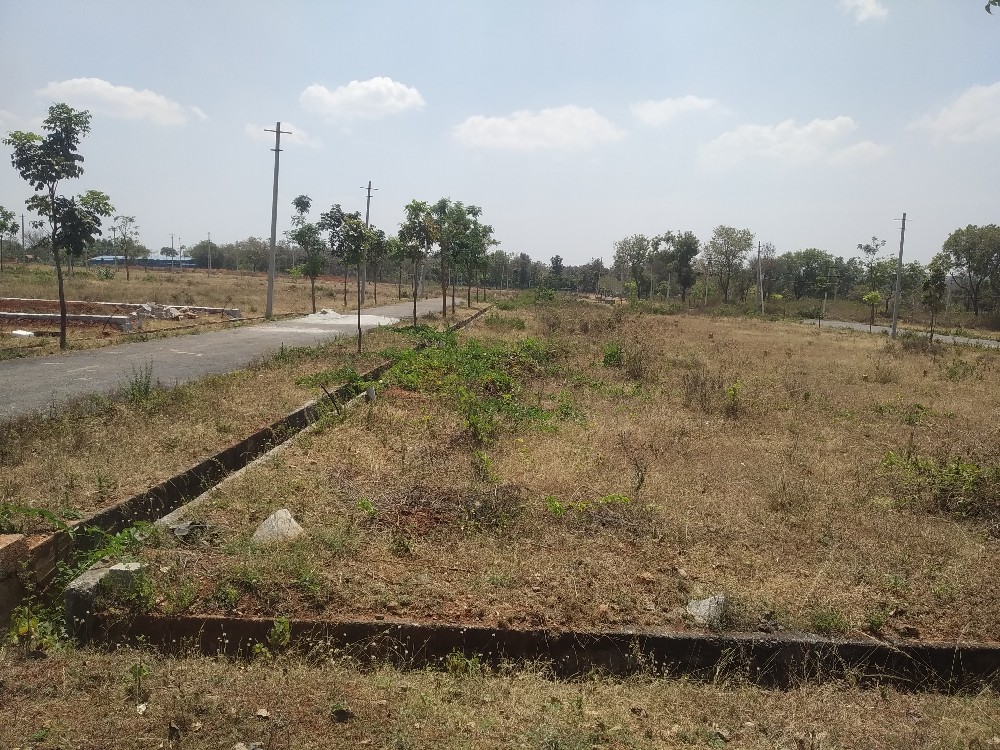1200 Sqft North East Corner Residential Site Sale RT Nagar, Mysore